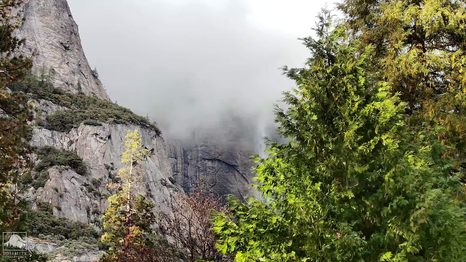 Yosemite Falls webcam, courtesy Yosemite Conservancy