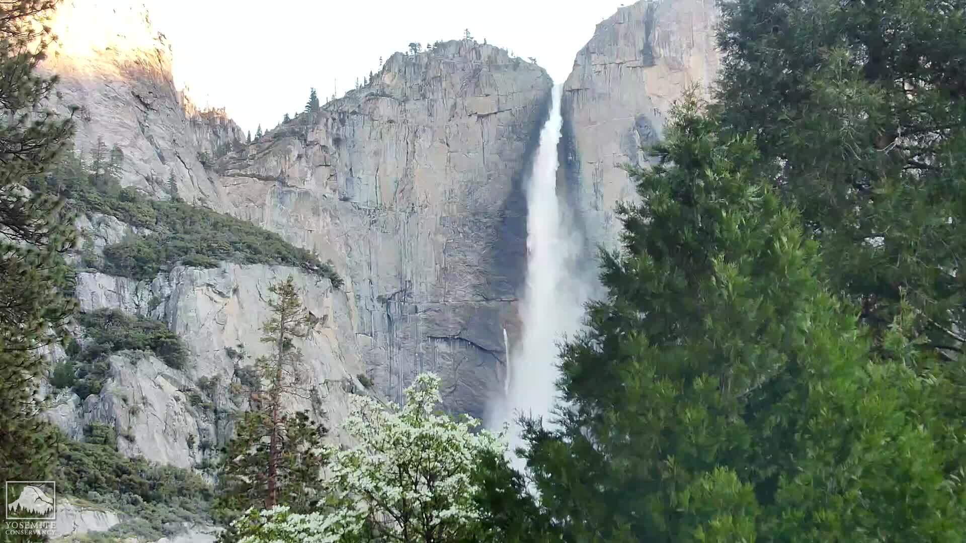 Yosemite Falls Video