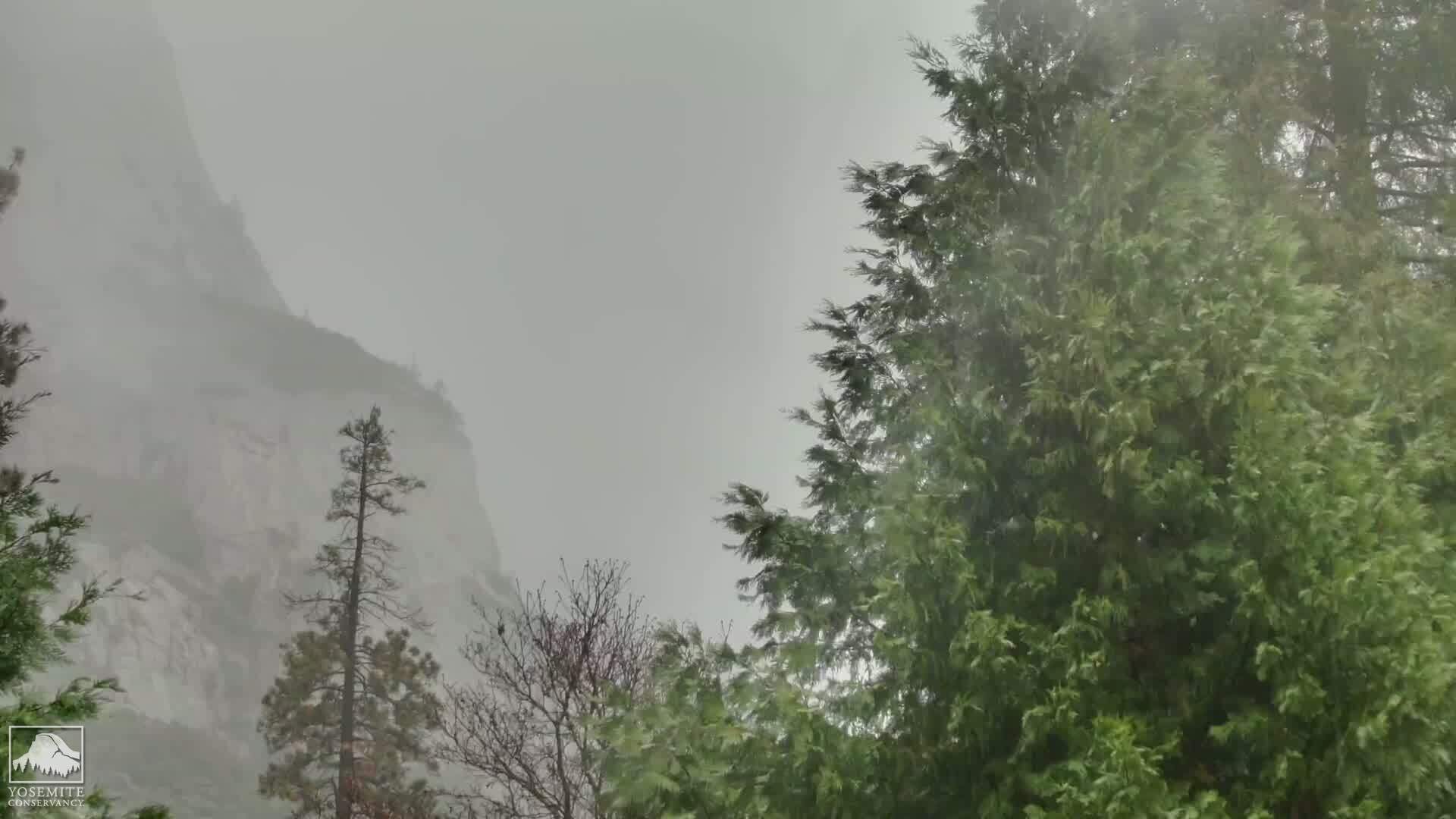 Yosemite CA Water Falls Live cams & Weather