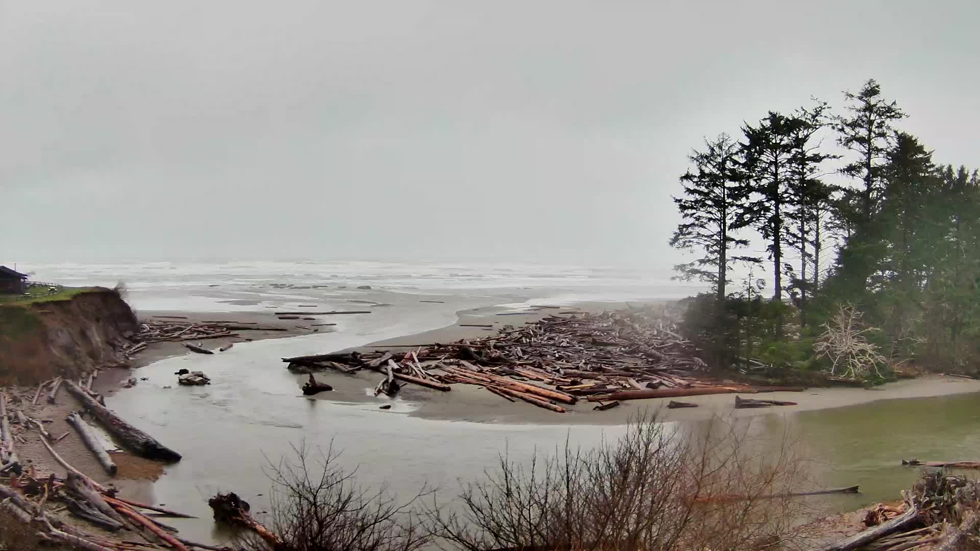 View Olympic Peninsula Web Cams pic