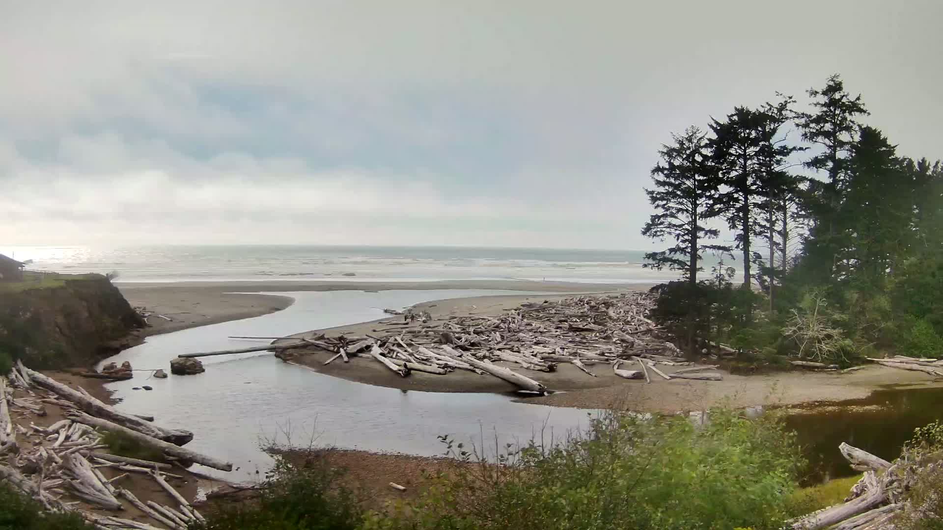 Web camera for Kalaloch Lodge