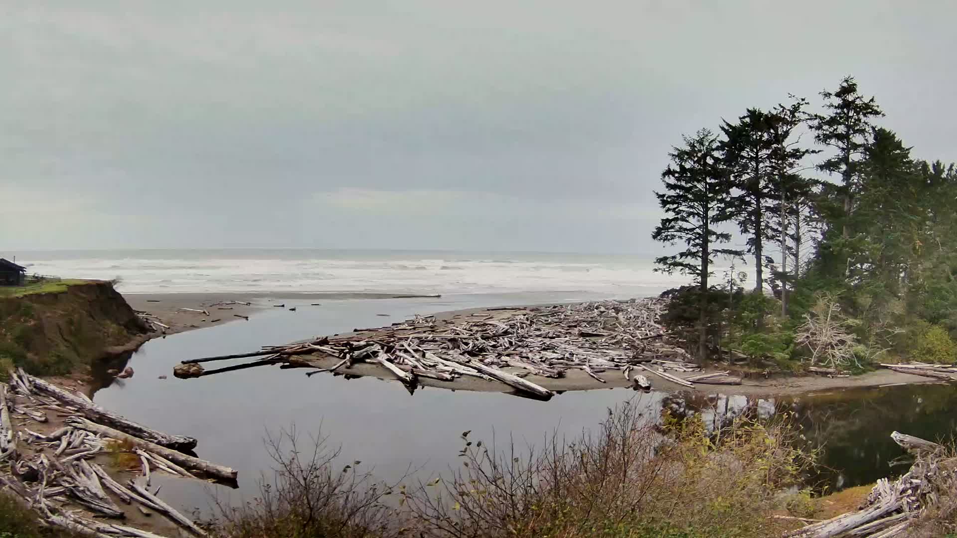 Kalaloch Beach View