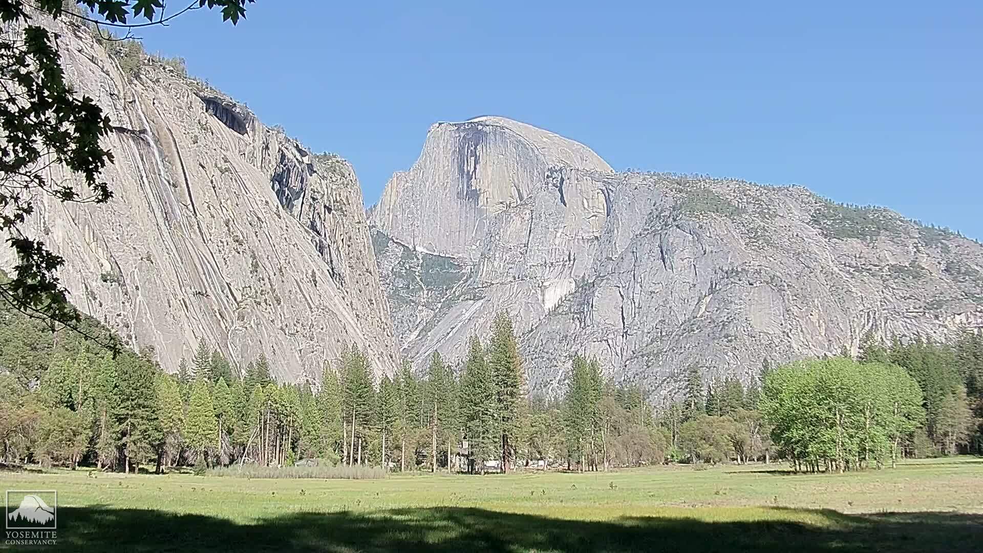 Half Dome from Ahwahnee