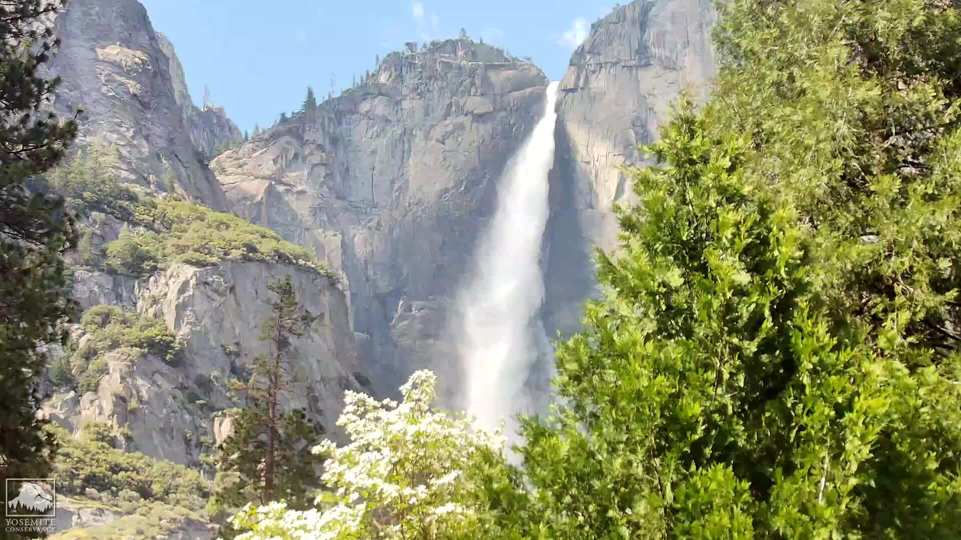 Yosemite Falls preview image