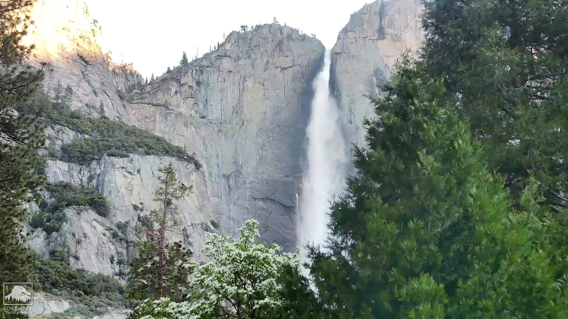 webcam Yosemite